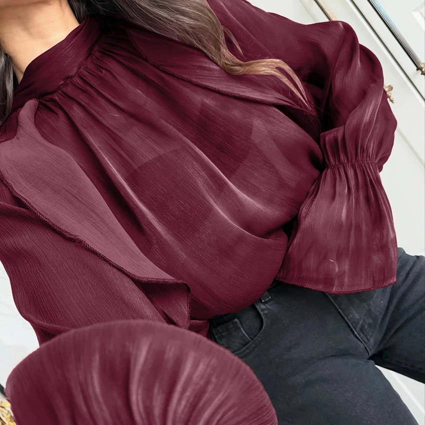 Linad Elegante Mesh Coltrui Shirts Vrouwelijke Street Chic Wijnrood Sheer Flare Mouw Blouse Vrouwen 2026 Lente Casual Losse Tops