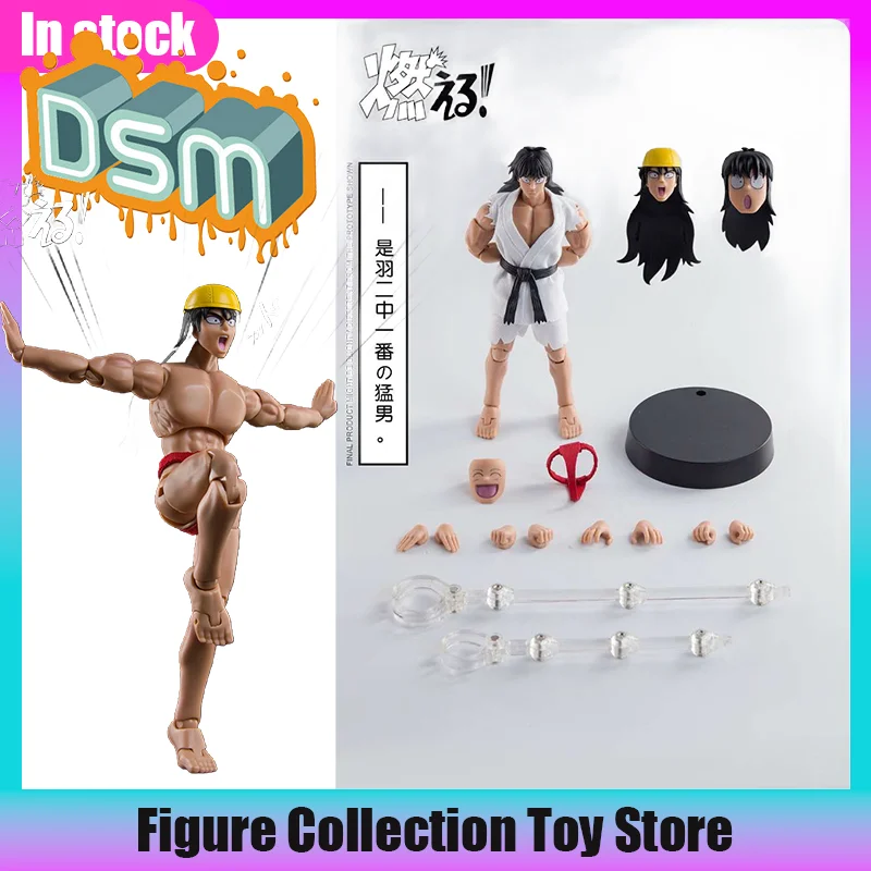 DSM/Dasin/Great Toys/GT Burning! Big Brother Kenichi Kokuhō 1/12 Action Figure Model
