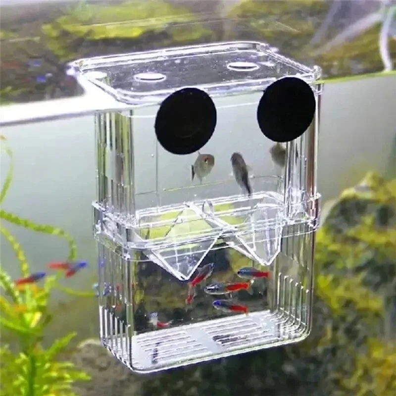 

Aquarium Fish Breeder Box Bettas Fish Tank Fish Breeding Isolation Box Durable Transparent