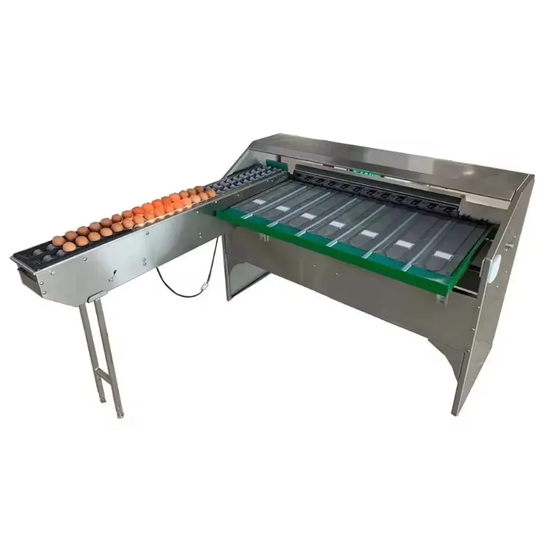 4000 Eggs/Hour Auto… - image