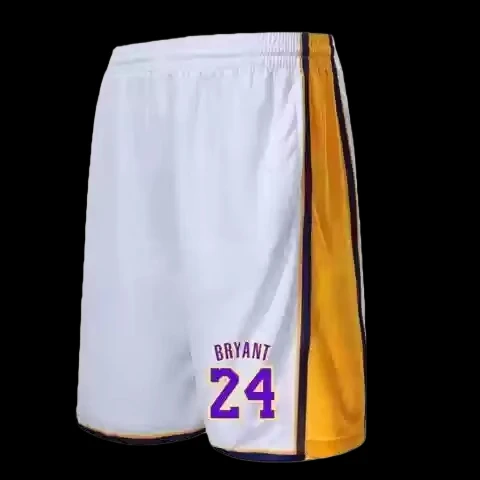 2026 Neue Modische Sommer-Sport-Basketball-Shorts Trainings-Mehrfarben-Shorts Atmungsaktive Sportshorts für Erwachsene Streetwear – Detail 16