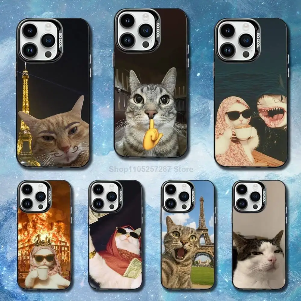 Cat Memes Funny For… - image