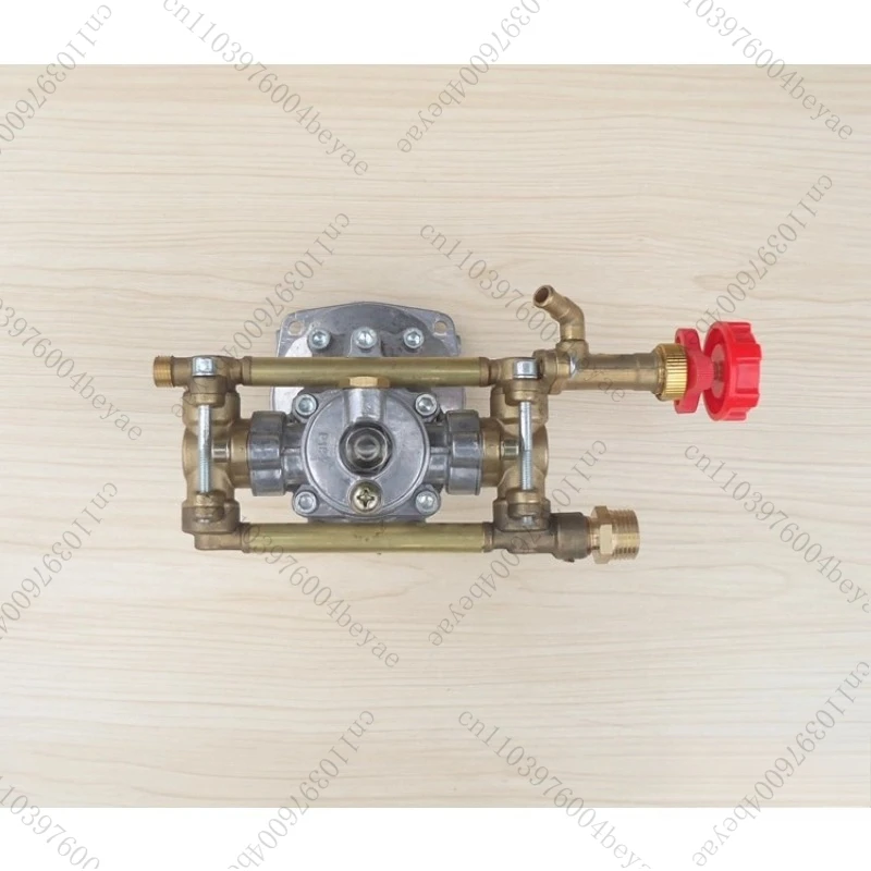 

Direct-connected water pump integrated high-pressure water pump agricultural spray car wash pump type 18 sprayer