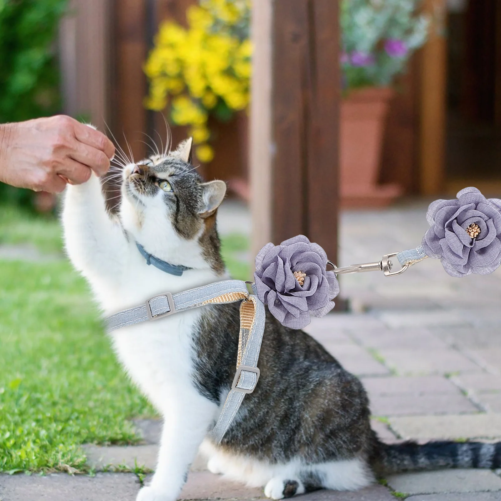 

Cat Harness Leash Soft Comfortable Outdoor Walking Traction Strap For Strap Cats Pet Supplies