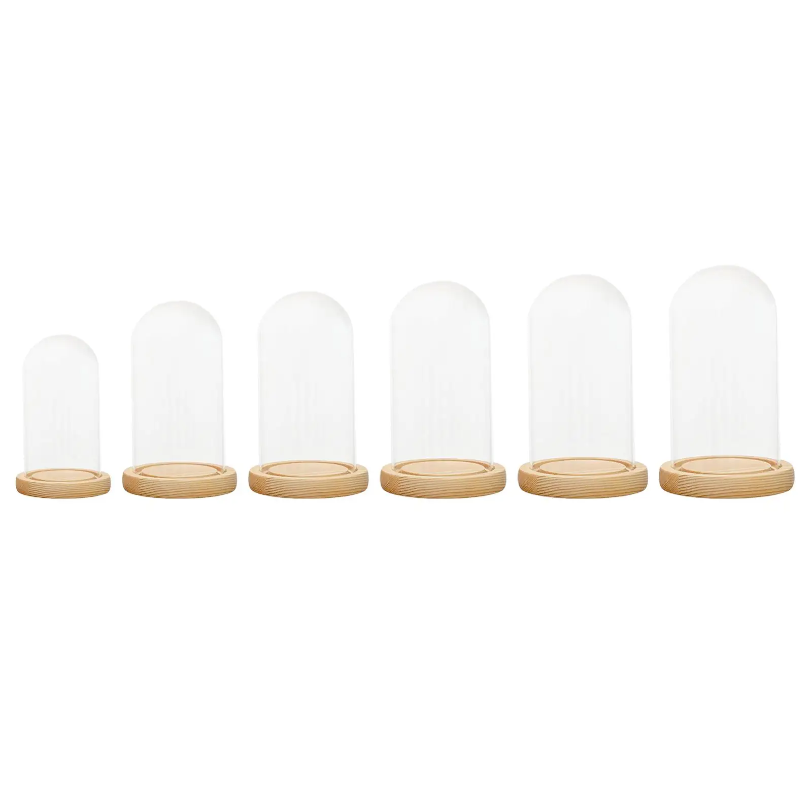 Glass Dome Cloche Bell Jar Wooden Base Transparent Cover Showcase Display Case Multifunctional
