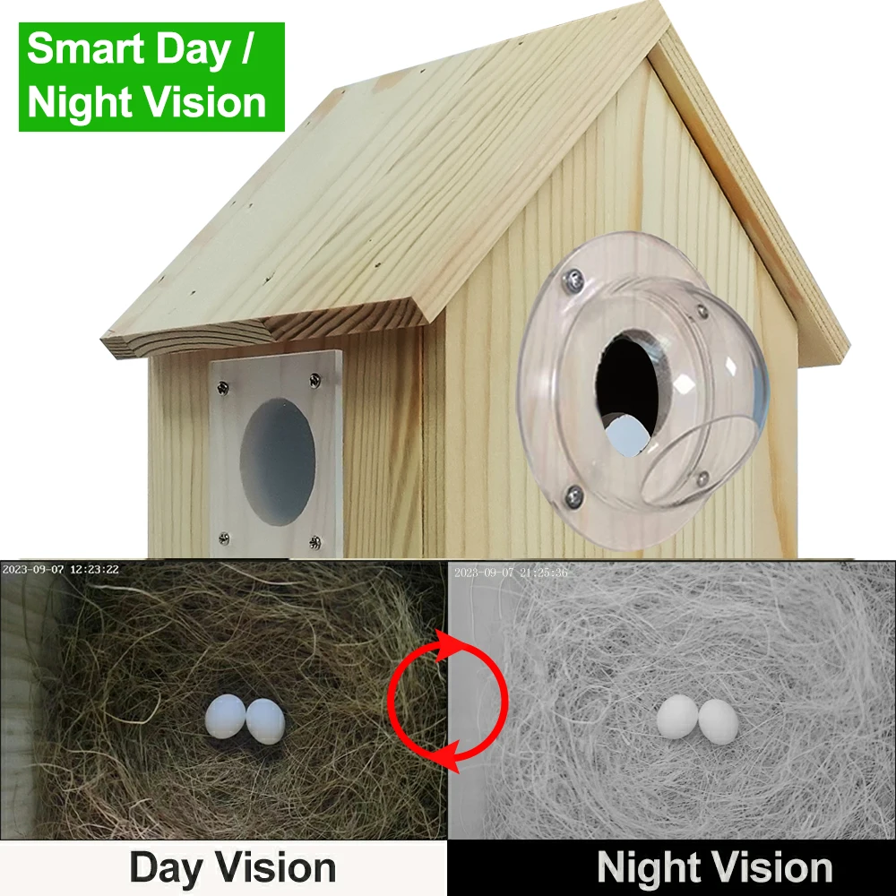 Bird House with Camera Tuya Wireless Parrot Box Outdoor Nestbox Video Playback Recording Motion Detection Smart Life APP Control