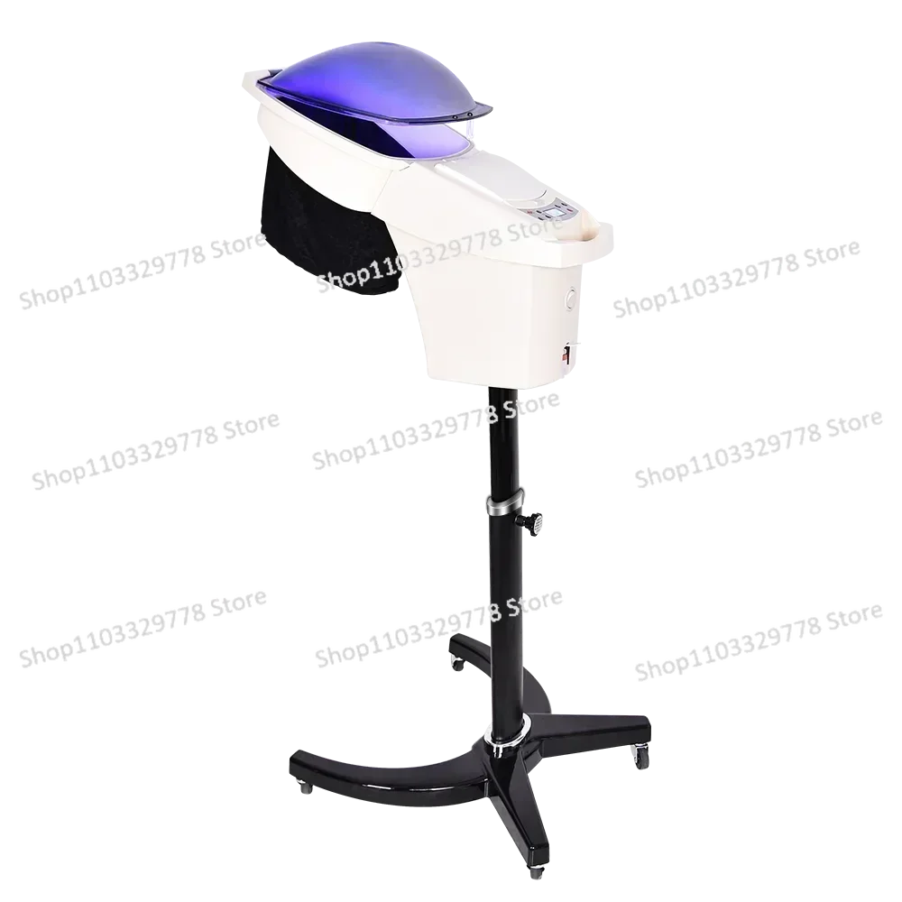 Professional Micro Mist Ozone Hair Salon Steamer with Stand&Hair SPA Standing Hair Steamer