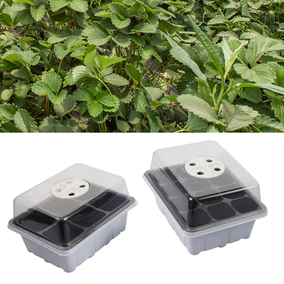 6/12 Cells Seedling Tray Germination Box with Breathable Holes Garden Greenhouse Vegetable Flower Succulents Planting Tray 10Pcs