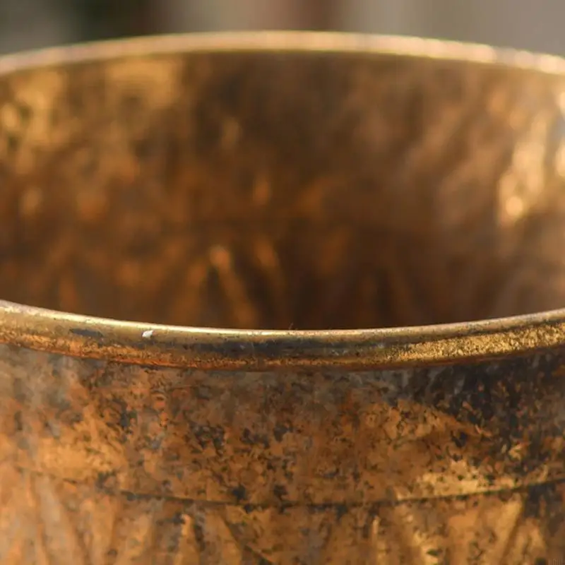 Metall-Urnen-Pflanzgefäß, Bronze, klassische antike Eisen-Pflanztöpfe, dekorative rustikale Blumentöpfe für Terrassen – Detail 2