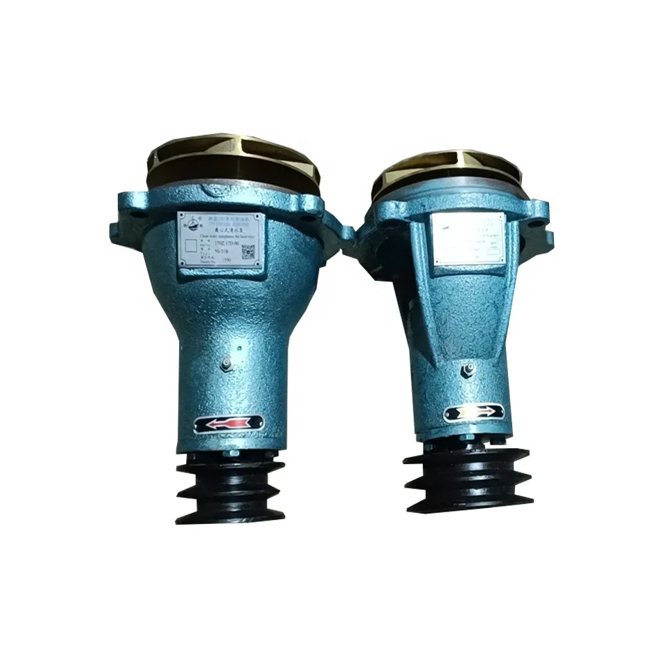 Marine Sea Water Pump 170Z.17D.00 For Weichai 6170, 6160 Series Marine Engine , 50-31A, 50-21B