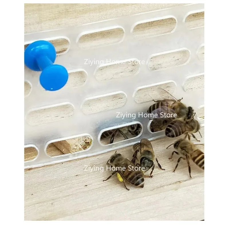 

Подходит для пластикового листа Queen Bee, противоугонной двери, противоугонной перегородки, доски для доставки ногтей