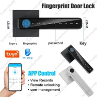 Biometric Fingerprint Smart Home Door Lock Password Electronic Digital Lock TUYA/TTLOCK APP Control Entry Door Knobs lock