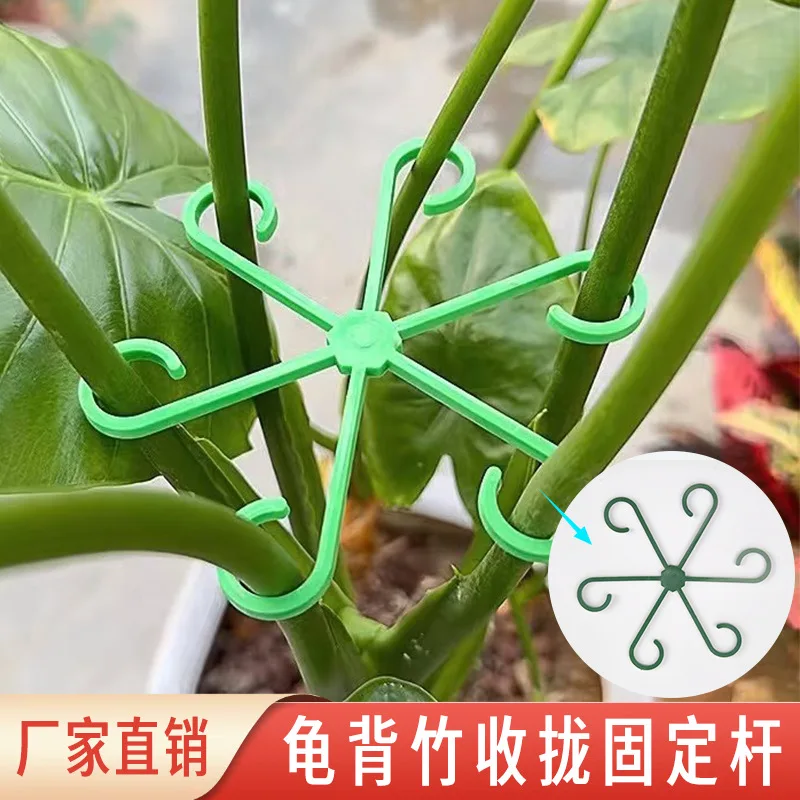 Turtle Bamboo Support Rod Collapse Rack Auxiliary Branch Gardening Flower Support Rack Fast Delivery