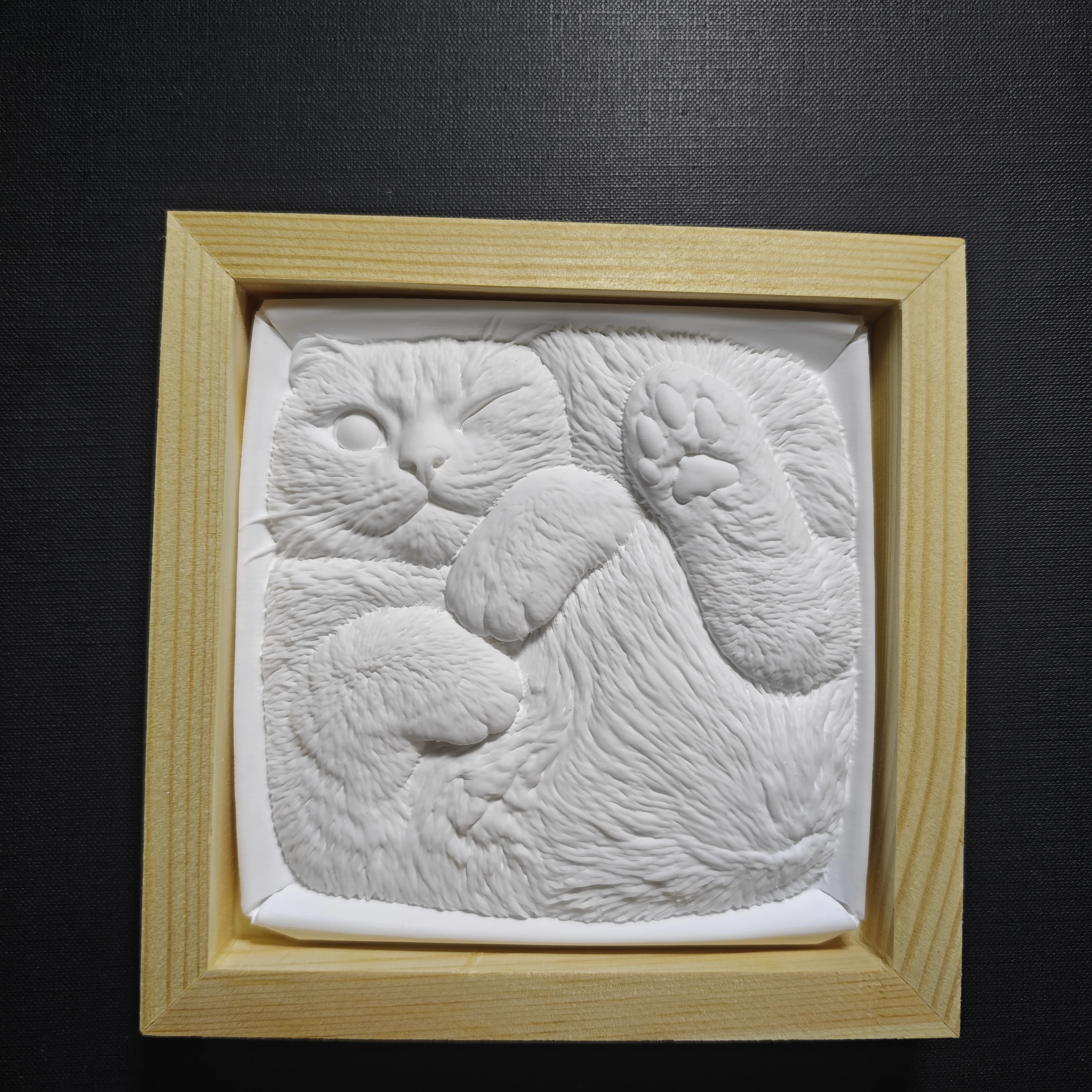 Lazy Cat 3D Relief Plaster Art with Wooden Frame, DIY Hand-Painted Gift for Cat Lovers and Girls – Soothing Birthday Present