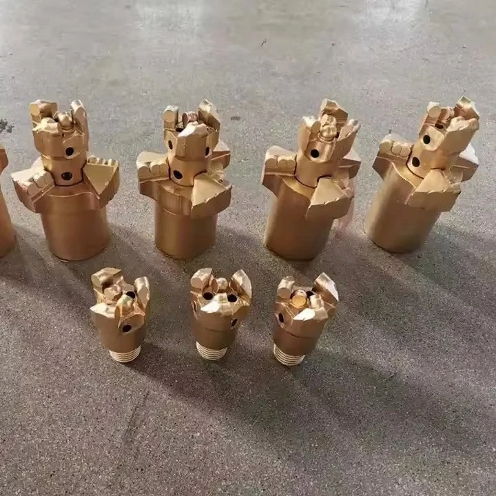 Drilling Bit for Well Drilling Water Well Drilling Pdc Drag Bits