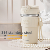 Simple Stainless Steel Straw Tumbler, 316 Insulated Thermos Cup for Office & Commute, Easy Clean, 6-Hour Hot/Cold, Double Lid