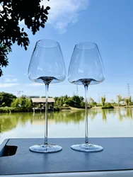 650ml/800ml Very Thin Red Wine Glass Cup High-end Bordeaux Burgundy Champagne Glass White Wine Glass Cup Camping Wine Glass