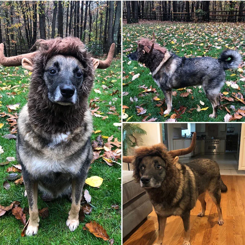 Niedliche Haustier-Cosplay-Kleidung, Verwandlungs-Kostüm mit Kuhhörnern, Winter-Warmer-Perücke, Katzen- und Großhund-Party-Dekoration mit Ohren, Haustierbekleidung – Detail 4