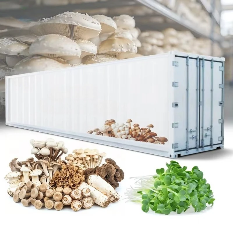 Mushroom Grower Room Aeroponic Farm Smart Greenhouse 16 Ft Biodegradable Containerized System in Container customize