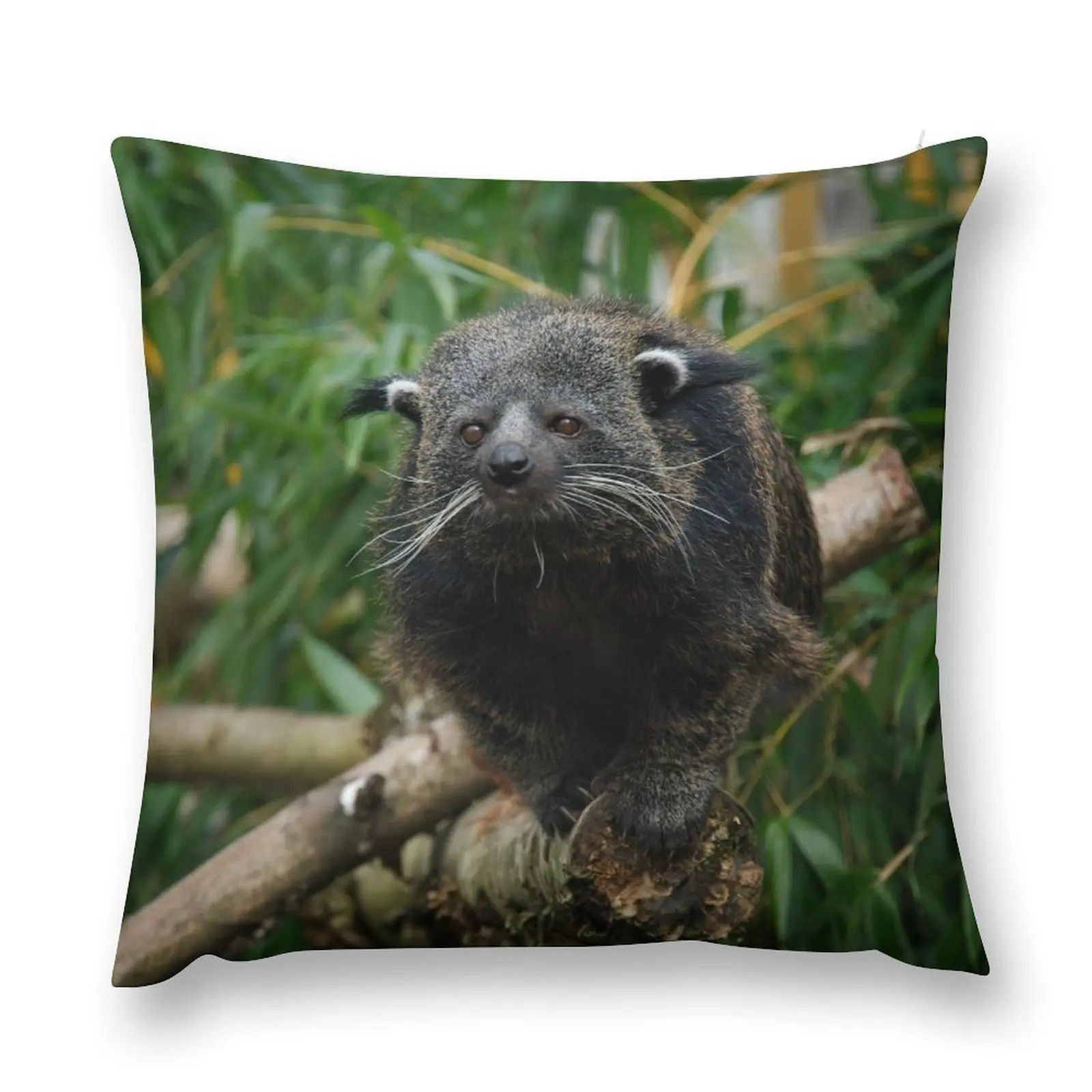 

Binturong Throw Pillow Christmas Covers For Cushions Covers For Sofas Pillows Aesthetic home decor items pillow