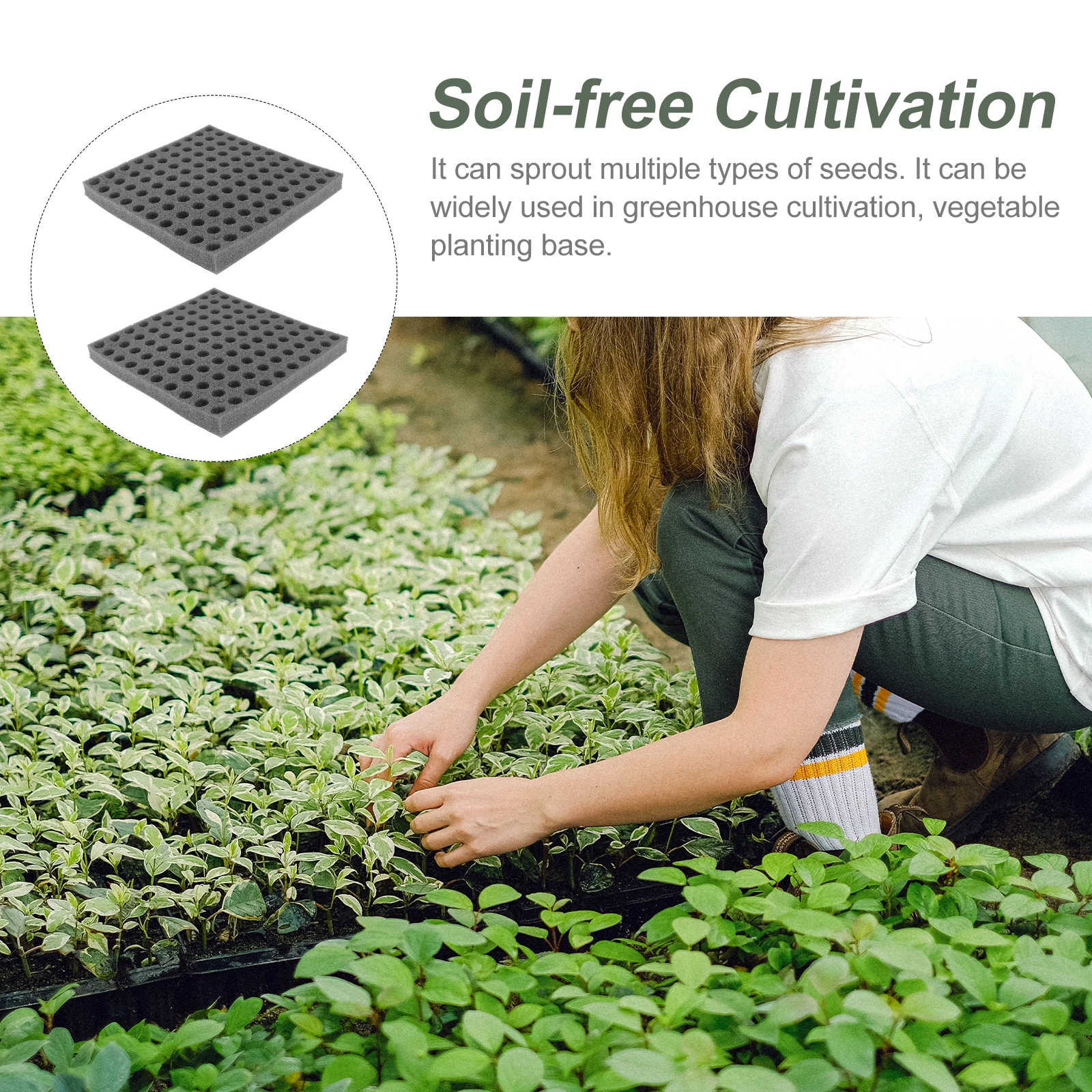 

2 Sheets Seedling Sponge Blocks for Soil-free Cultivation Tray Planting Hydroponic Gardening Tools Vegetable Starter