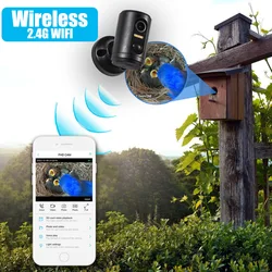 2MP Mini kamera z ptakami Wifi z baterią długi czas czuwania wideo zwierząt do wykrywania czujnik PIR w pomieszczeniach, bezprzewodowy inkubator do Birdhouse, kamera IP