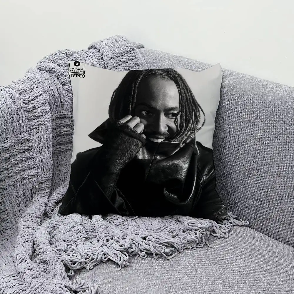 

Singer T-Thundercat Distracted 30x30cm 45x45cm Pillow Case Decor Protective Covers Comfortable Soft For Sofa Living Room Home Of