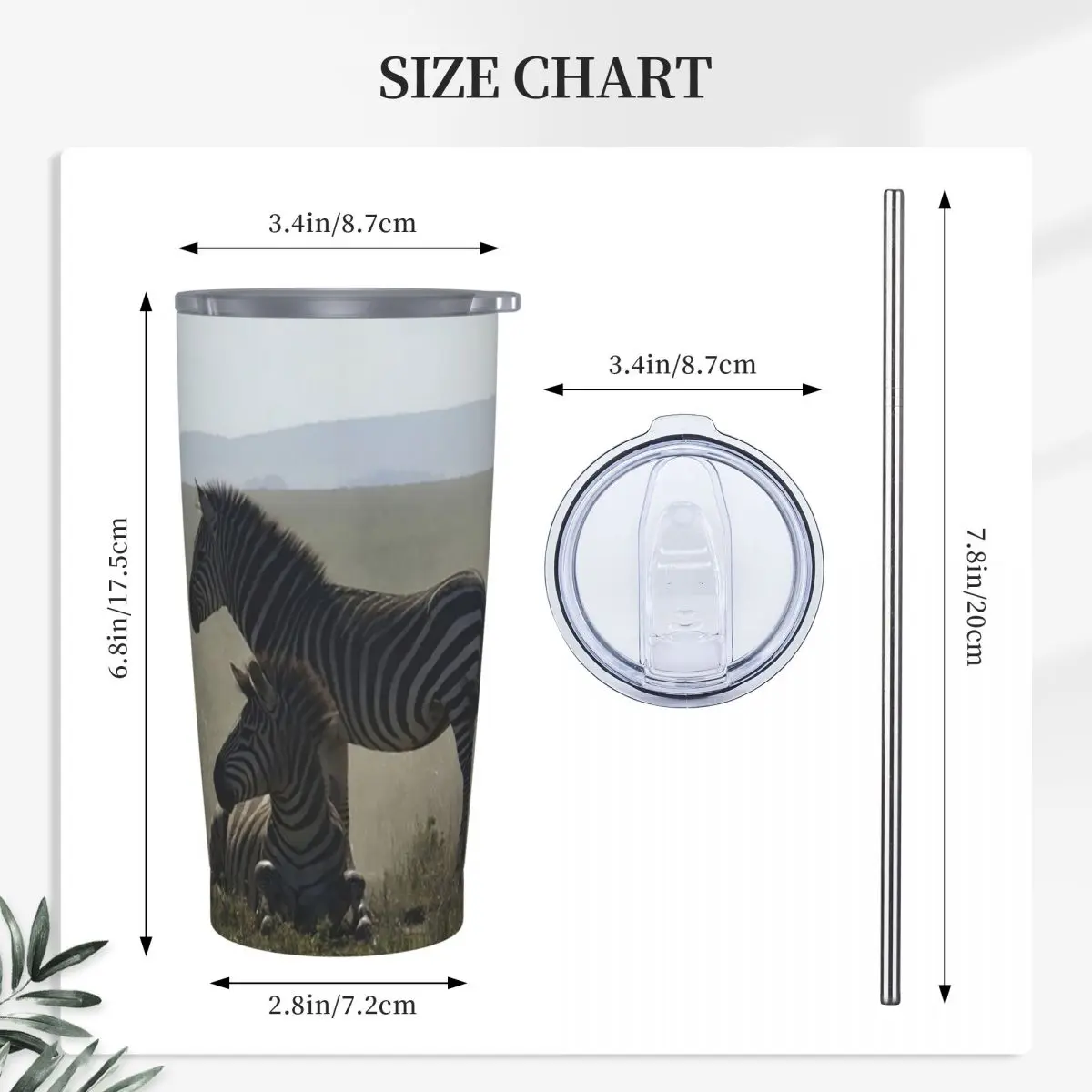Zebras At Play Stainless Steel Tumbler Vacuum Insulated Mugs Thermal Cold Cups Straw With Lid 20oz