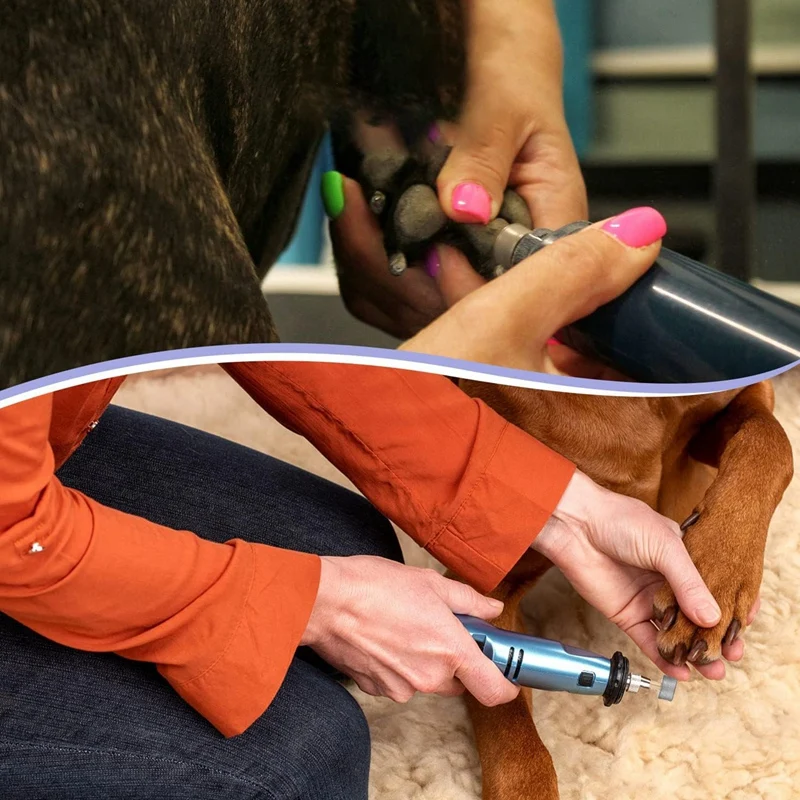 

Набор из 4 сменных насадок для машинки для стрижки когтей собак, совместимых с Casfuy, алмазные насадки-фрезы, запасные колесики для триммеров для когтей животных