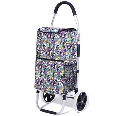 Chariot de Shopping Portable et Pliable avec Roues d'Escalier, mir de Shopping, Sacs de Rangement Ménagers, pour Femme