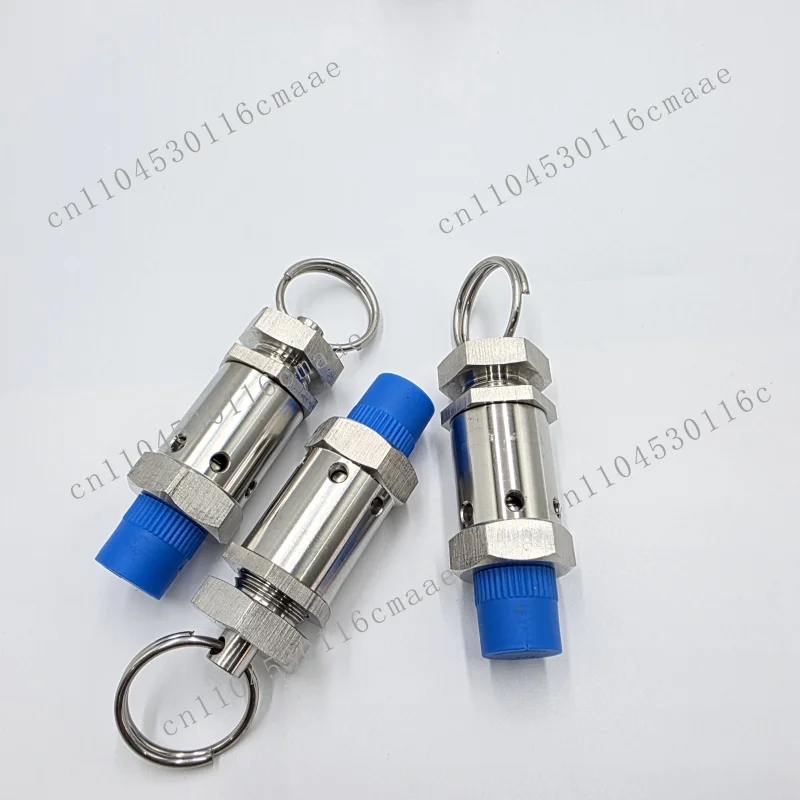 Stainless Steel Ss316L Adjustable Pressure Safety Relief Valve 1/4inch 1/2inch