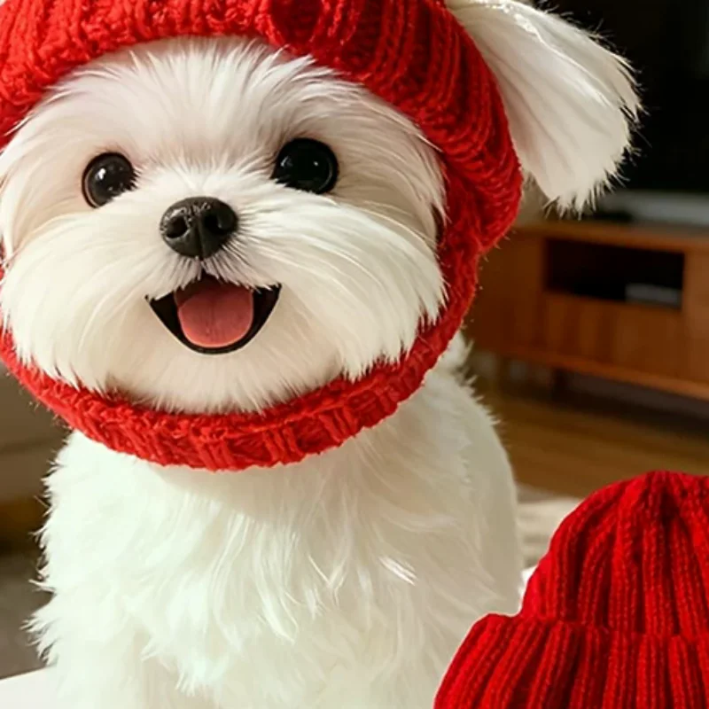 Maltese Dog Beanie Hat Cozy Soft Knit With Ear Flaps Keep Warm For Small Dogs Winter Indoor/Outdoor Use