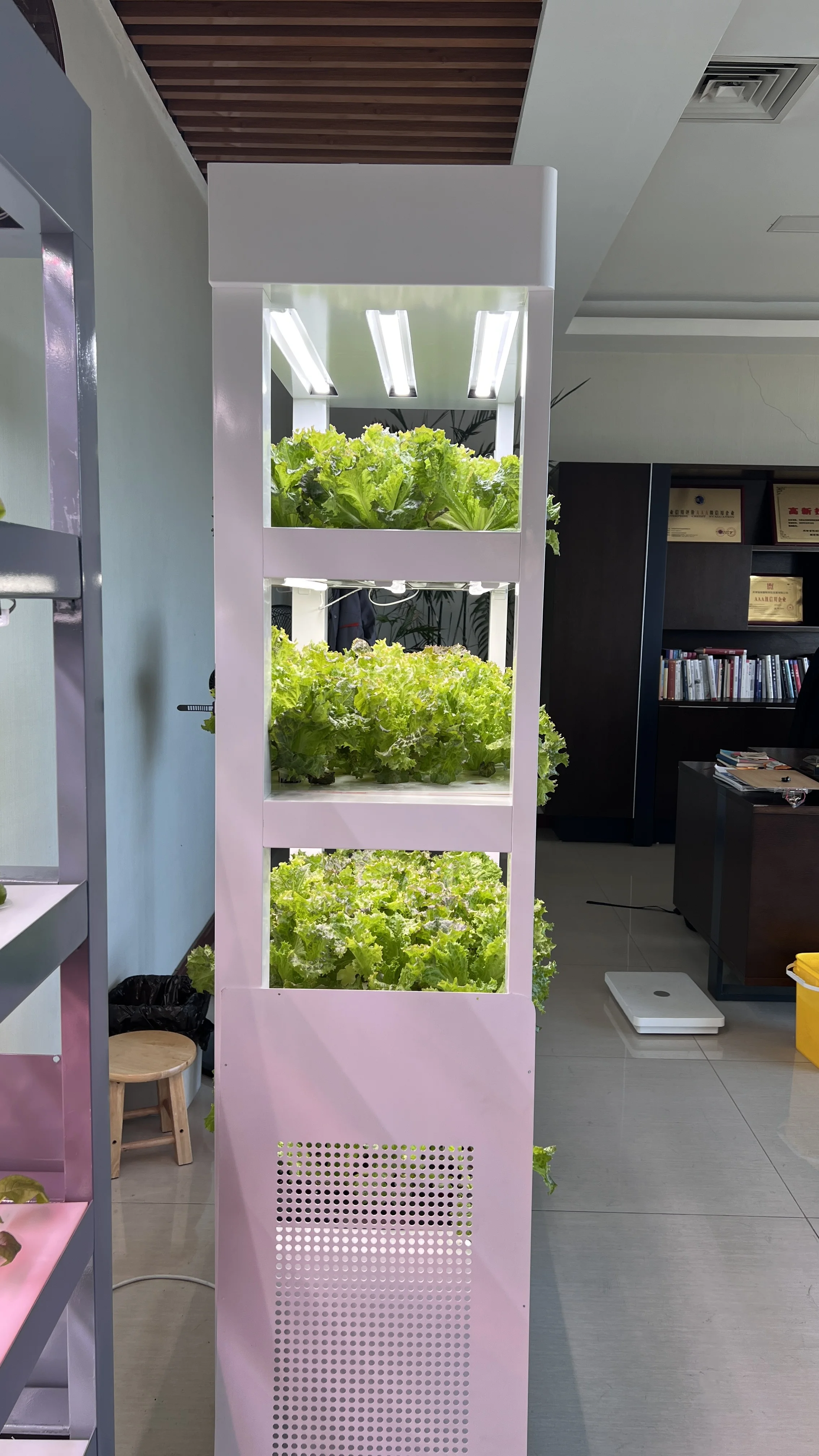 Kit hidropônico vertical aerop - Aquaponics Home Kit avaliação e preço