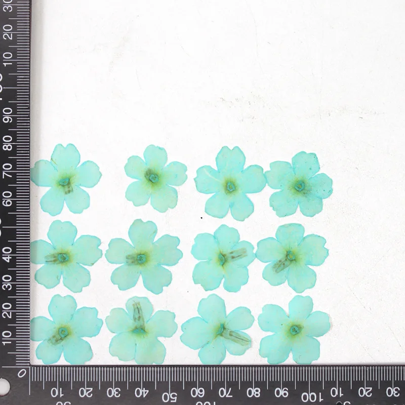 12 Stück, echte getrocknete Blumen, Prägematerialien, DIY-Zubehör für Epoxidharz, für Handyhüllen, Nagelkunst, Gesichtsaufkleber, handgefertigte Dekoration – Detail 12