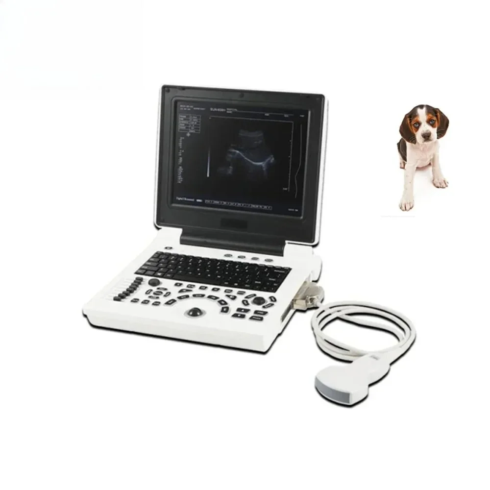 

Medical SUN-806H CE Approved Portable Laptop Vet Pet Animal Veterinary Ultrasound Dog