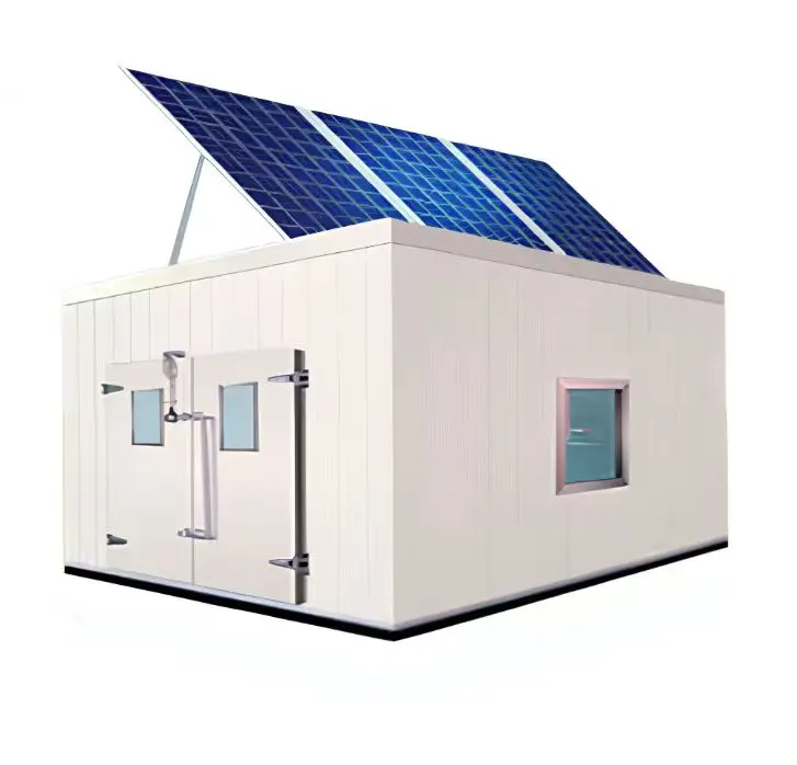 Solar Portable Walk-in Refrigerated Box Customizable Off Grid Constant Temperature Cold Storage Cabinet for Outdoor Cold Chain