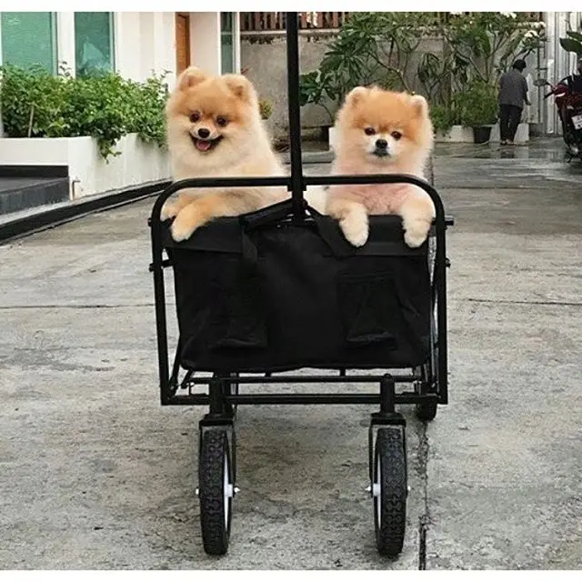 Push and Pull Handle Folding Cart Child Outdoor Wagon