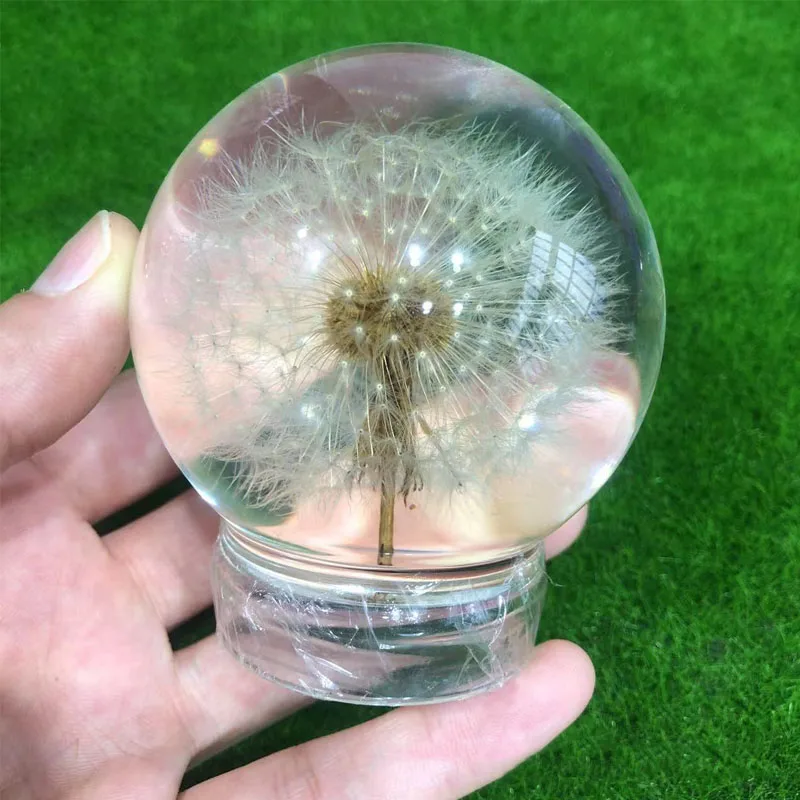 Dandelion Glass Resin Ball Orb Beautiful Floral Clear Paperweight Magic Botanical Flower Sphere Globe Good Luck Graduation Gift