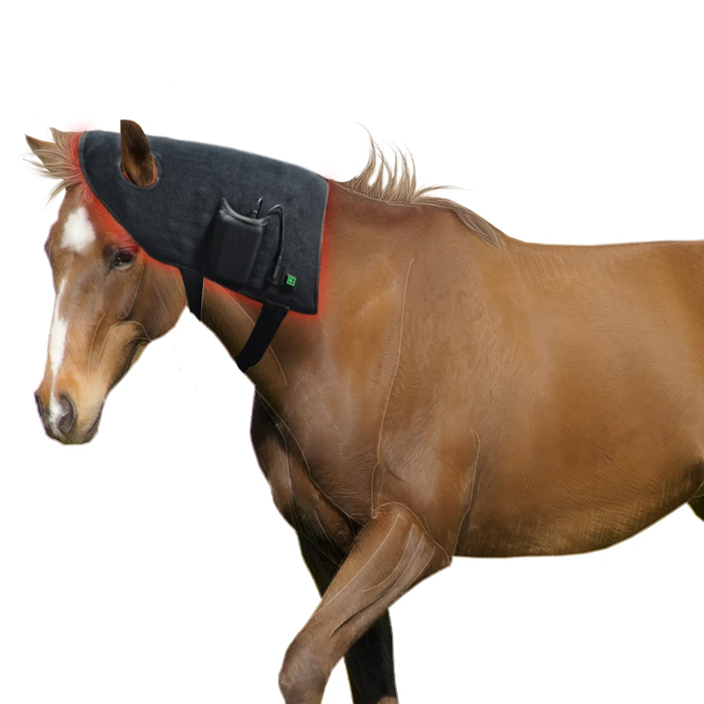 Horse Care Product Red & Infrared Light Therapy 660nm 850nm Head Belt Horse Pain Relief Health Care