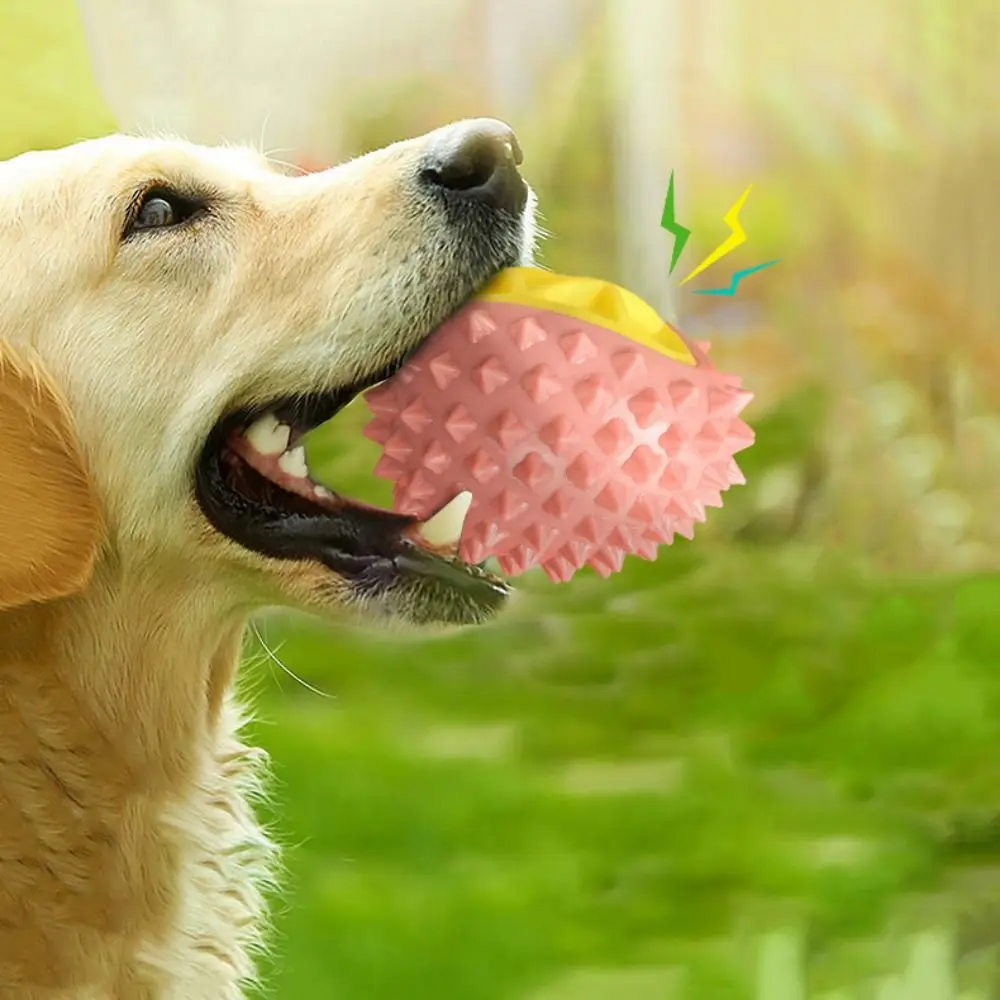 

Dog Interactive Sound Toy Durian Shape Dog Molar Toy Bite Resistant TPR Dog Chew Toys Wear Resistant Dog Squeaky Toys Self Happy