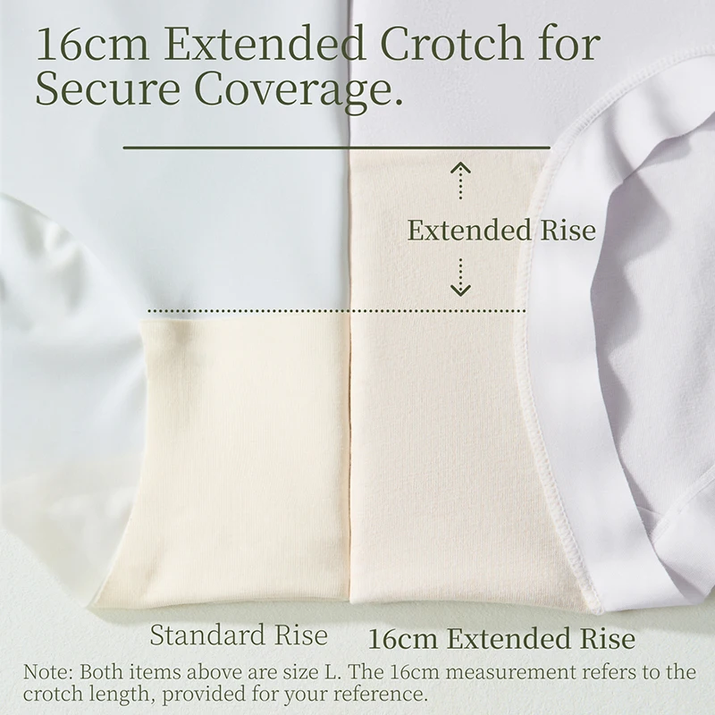 SUJIIN 3Pcs/Lot Seamless Cotton Crotch Panties Women 2025 Mid Waist Invisibles Brief 10A Antibacterial Breathable Underwear N229