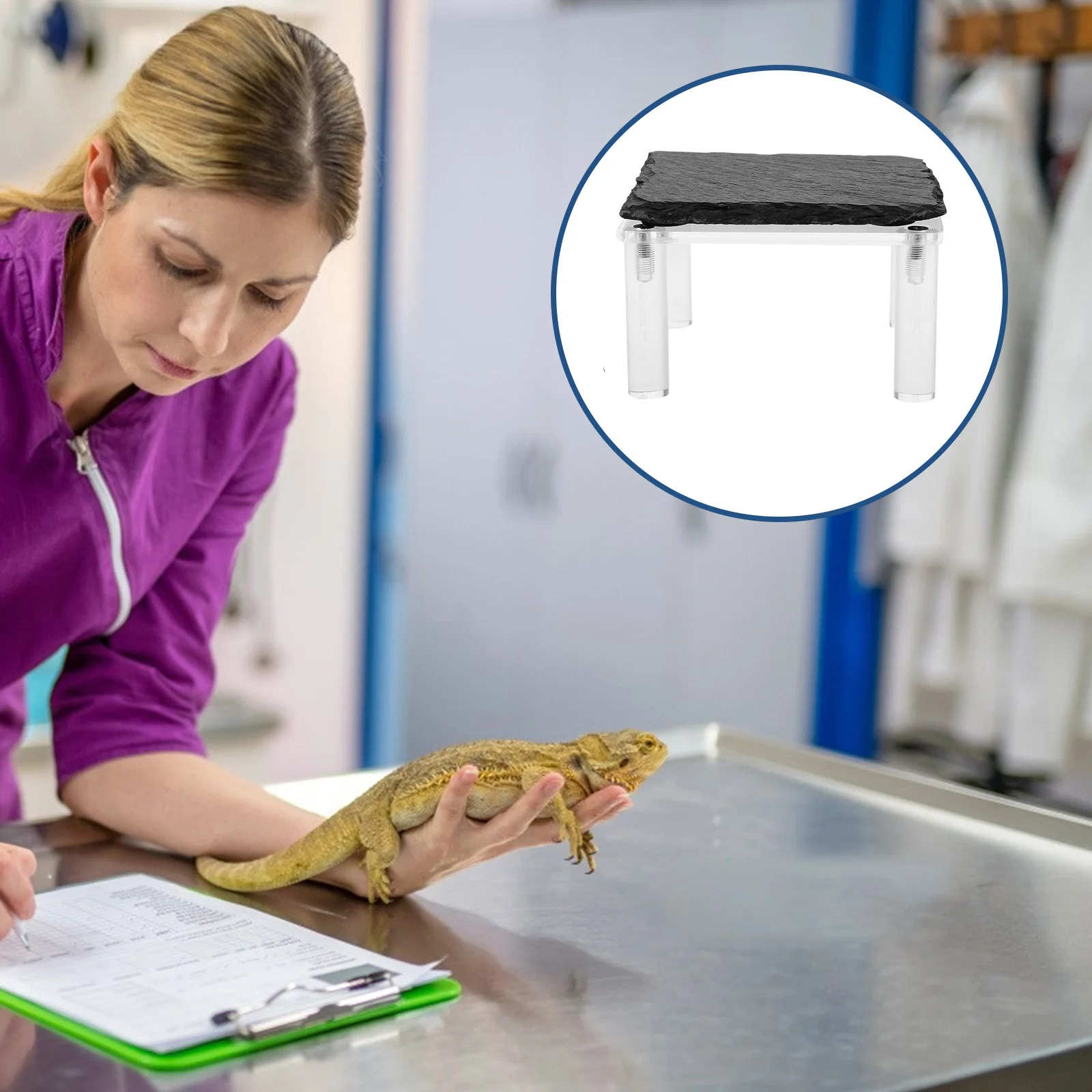 

Reptile Basking Platform Rock Natural Design Cooling Habitat Stone for Gecko Lizard Tortoise Resting Terrarium Decoration