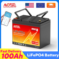 Bluetooth 12V 100Ah LiFePO4 Lithium Battery 8000+ Deep Cycle Rechargeable Batteries Portable for Campers RV Home Marine Off-grid