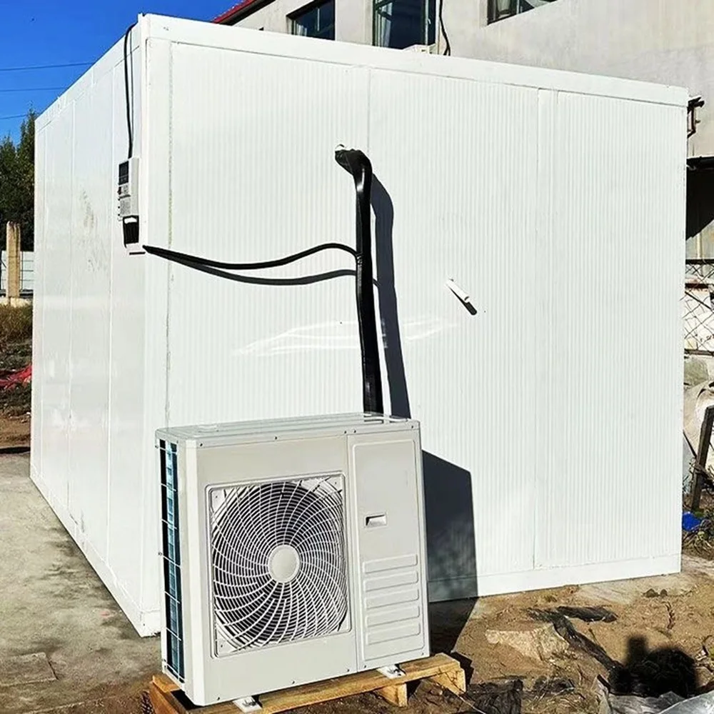 Portable Mobile Industrial Container Walk in Freezer Room Deep Freezer Food Storage Cold Room Customized