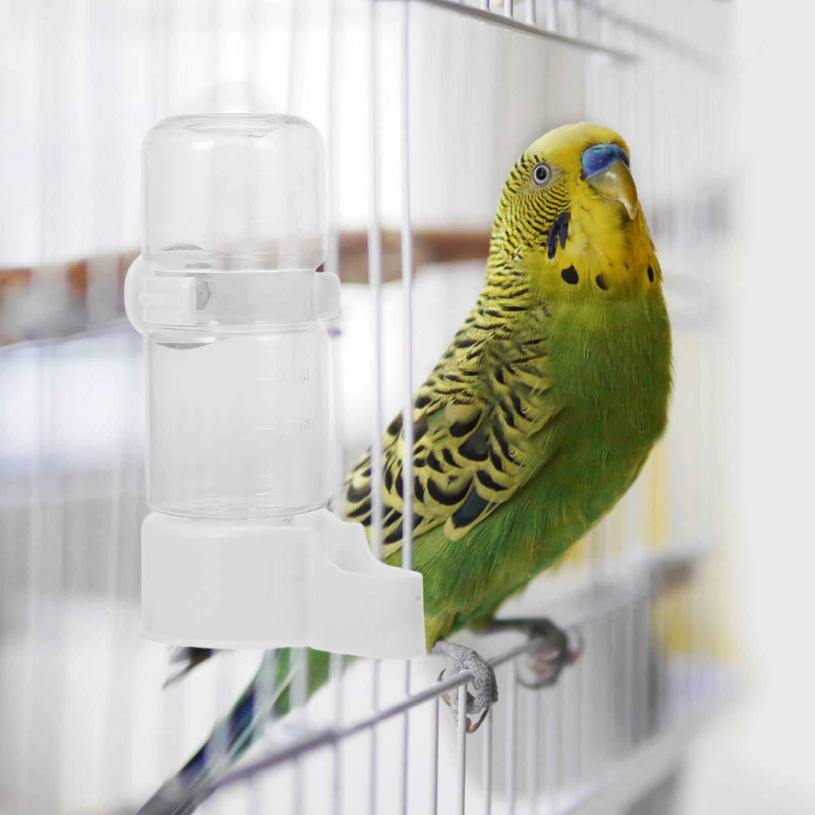 

Parrot Water Dispenser Automatic Bird Water Feeder Bird Cage Accessories Parakeet Rabbit Budgie Cockatiel Lovebirds Feeding Bowl