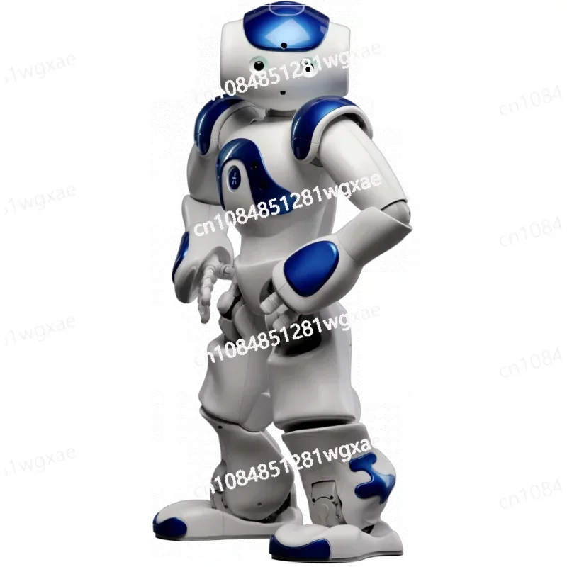 Christmas Gift Robot Nao Humanoid V6 Version