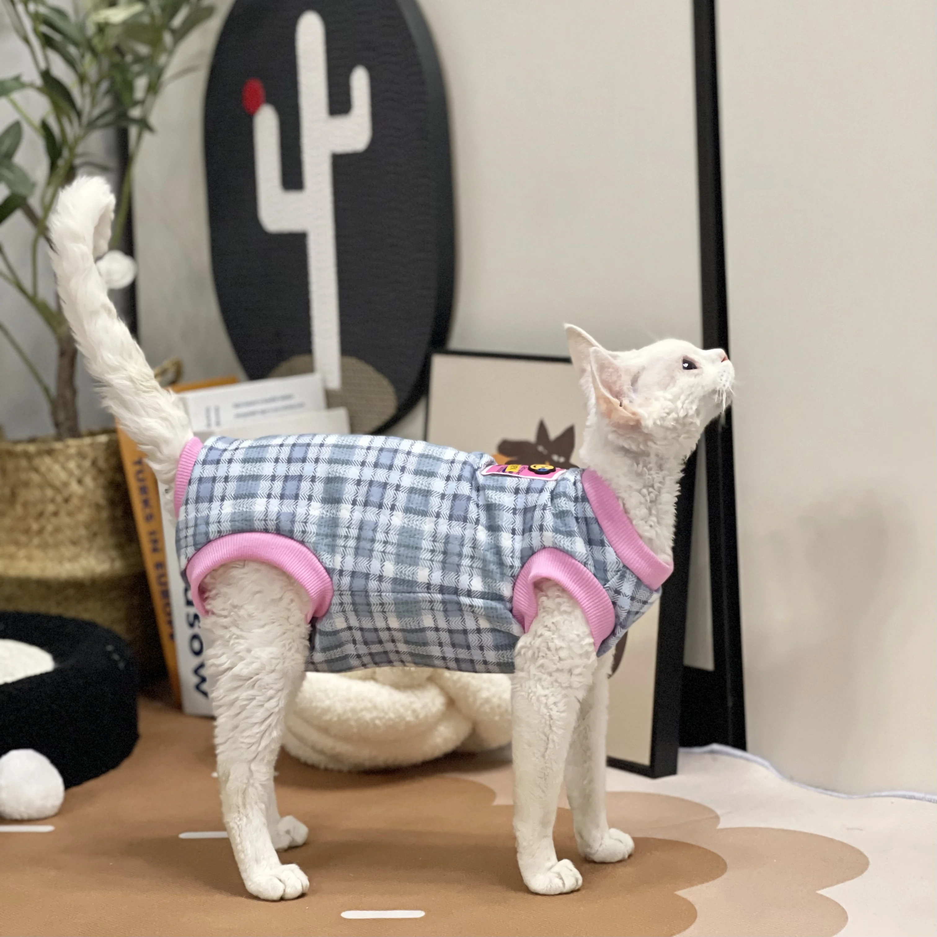 Cotton Plaid Vest for Sphynx Cats Summer Short Sleeves Light Blue Grey Shirt for Kittens Soft Coat for Devon Rex Cat Supplies