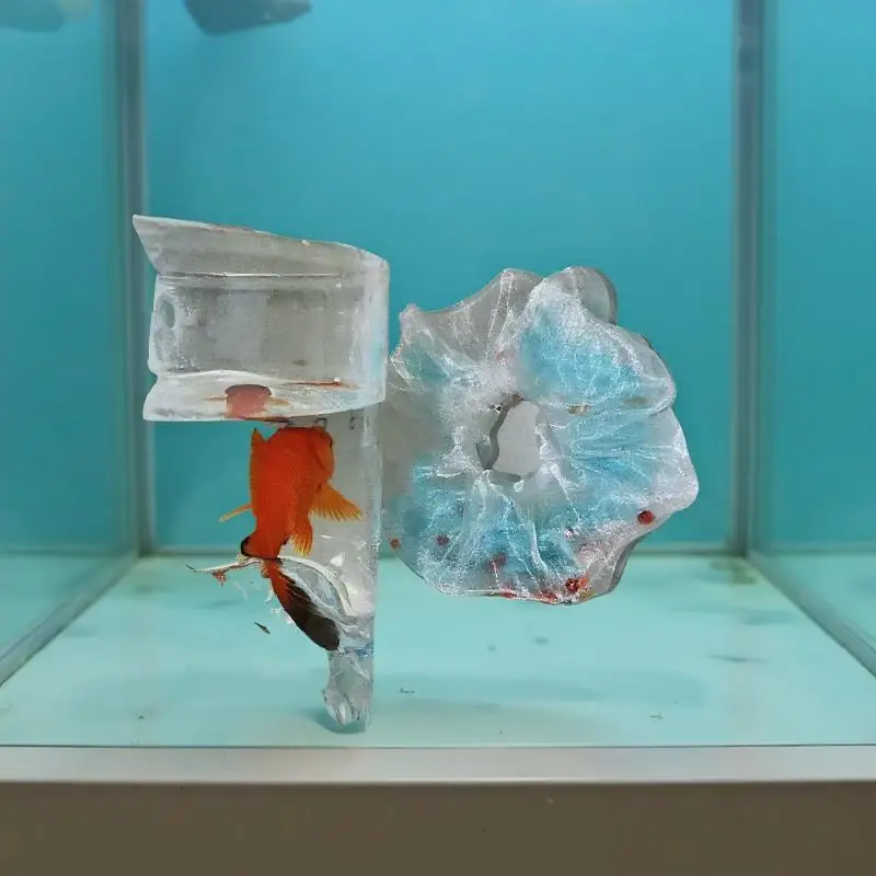 قطعة واحدة من حلقة الشعر المرنة للنساء، تصميم سمكة ذهبية زرقاء، حزمة شعر للأمعاء الغليظة للصيف، إكسسوار شعر شبكي شفاف