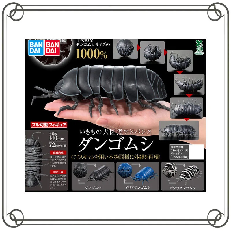 

Biological Encyclopedia Porceeio Laevis Gashapon Insects Series Collection Ornament Action Figure Model Toys