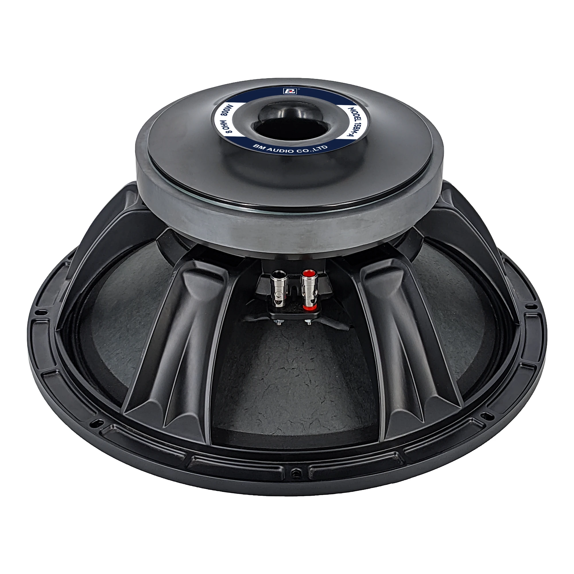15-Inch 800W Woofer 4-Inch Voice Coil For Dynamic Sound At Parties & Karaoke Events